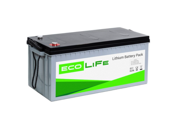 Литиевый аккумулятор EcoLiFe LiFePO4 LF12-200