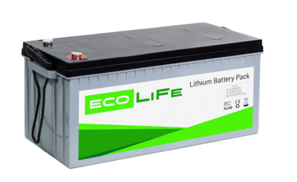 Литиевый аккумулятор EcoLiFe LiFePO4 LF48-100 (Plastic box)