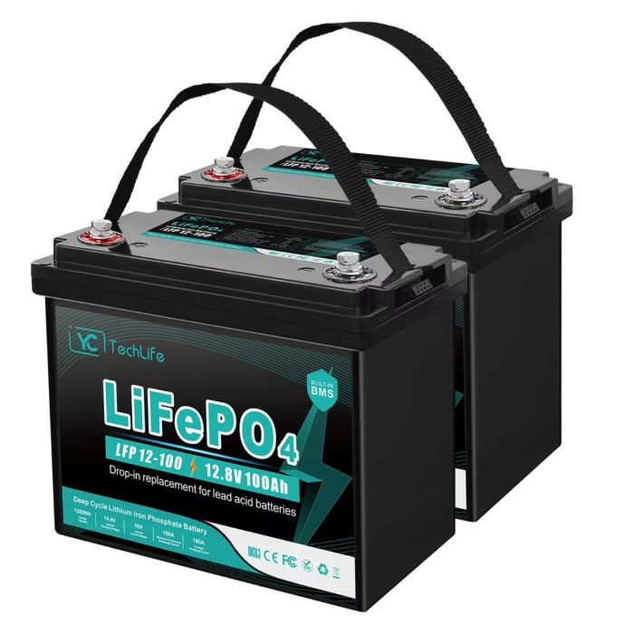 Литиевый аккумулятор LiFePO4 EverExceed LDP 12-100 (TechLife)