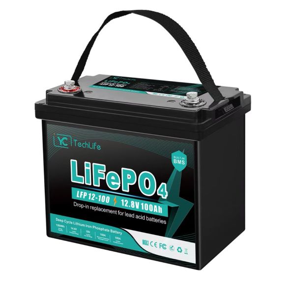 Литиевый аккумулятор LiFePO4 EverExceed LDP 12-100 (TechLife)